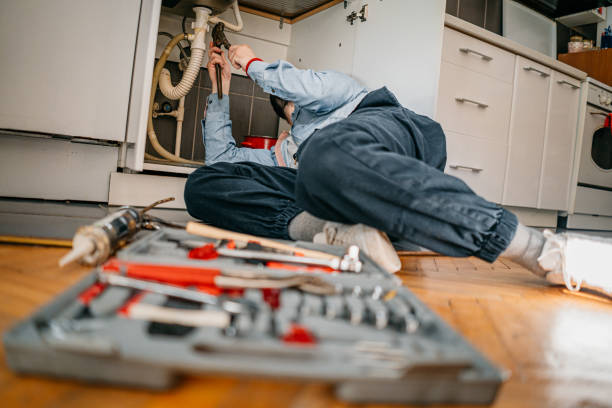 Best Toilet Repair Services  in La Marque, TX